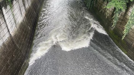 神田川6月：梅雨の神田川の濁流 2025/6/25