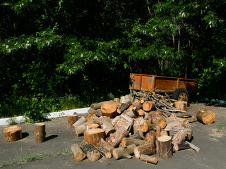 Logs from trees for firewood.