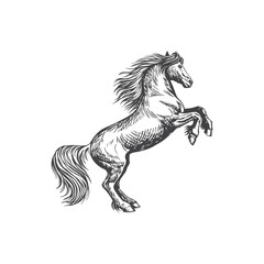 A sketch art of a horse running, showing the initial outline