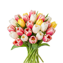 Fototapeta premium A vibrant bouquet of tulips in various colors including pink, white, and yellow. The flowers are arranged with green leaves, set against a transparent background.