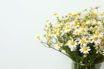 White background with bouquet of daisies, copy space