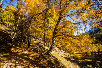 Young hiker woman in autumn in Aiguestortes and Sant Maurici National Park, Spain