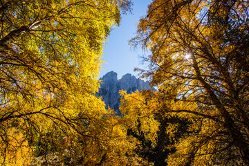 Autumn landscape in Aiguestortes and Sant Maurici National Park, Spain