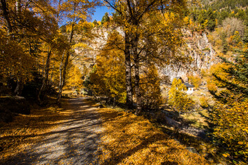 Obraz premium Autumn landscape in Aiguestortes and Sant Maurici National Park, Spain