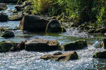 Clean river water flowing between rocks and green grass on river bank