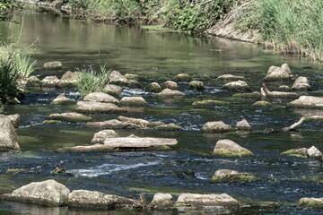 River water flowing over rocks and driftwood in gentle rapids