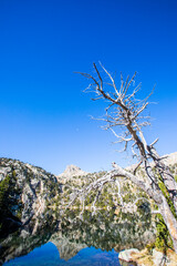 Autumn landscape in Aiguestortes and Sant Maurici National Park, Spain