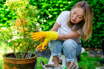 Gardening activity in a backyard with a woman tending to a potted plant during a sunny afternoon