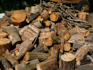 Various logs for firewood preparation.