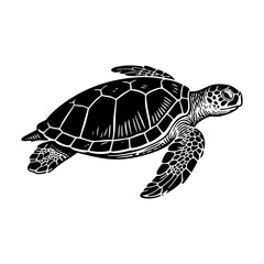 Fototapeta premium Sea turtle engraving black and white outline. Scratch board imitation. illustrated in vintage line art style on a white background.