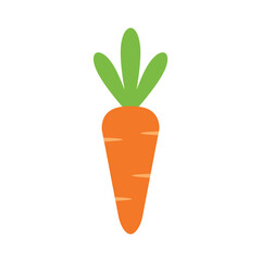 Fresh orange carrot cartoon vector illustration, isolated on a white background
