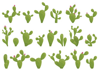 A vibrant assortment of cartoon cacti displayed against a clean white backdrop.  Each plant features a unique shape and shade of green, some adorned with pink blossoms.