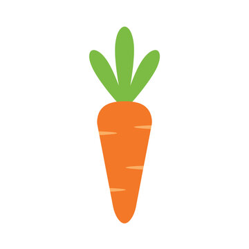 Fresh orange carrot cartoon vector illustration, isolated on a white background