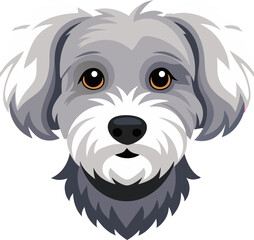 Bolognese dog vector 