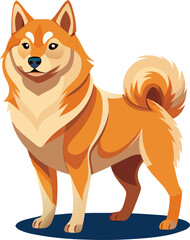 Finnish Spitz dog  vector 