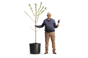 Mature man planting a tree and holding a spade