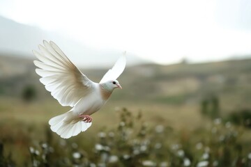 White bird gracefully flying over a green landscape during a calm afternoon