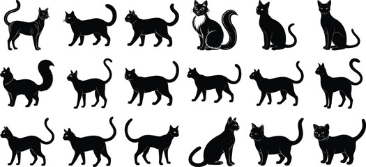 Cats behavior Silhouette Vector, on white background.
