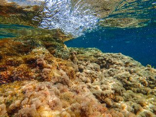 Ocean blue underwater with sunrays, Underwater Sea Deep Water Abstract Sunshine, sea wave , clean...