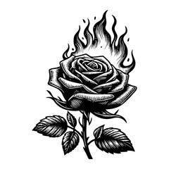 Burning rose flower engraving black and white outline. Scratch board imitation.  illustrated in vintage line art style on a white background.