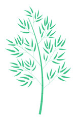 Obraz premium Bamboo tree isolated on transparent background. Hand drawn vector illustration. Flat design. Plant, botanical clip art, Asian flora, Japanese Tanabata Festival traditional element, symbol
