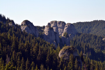 Majestic mountain peaks rise above rolling green hills and pine forests in this scenic landscape of...