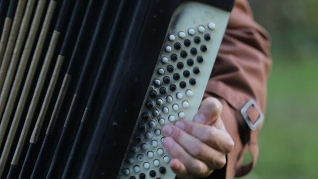 playing the accordion close-up, male hands