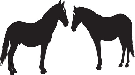 Obraz premium Ethiopian horses in silhouette pure white background. in silhouette pure white background