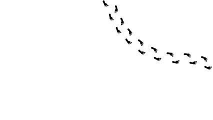 Step footprints paths, vector icon Illustration. isolated on white background