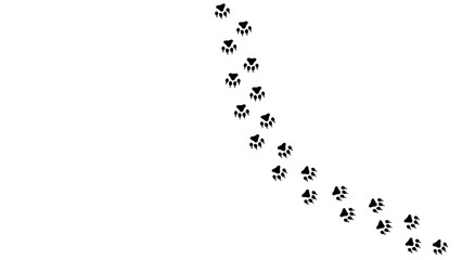 Paw print of a dog or cat. Footprint pet. Black lines animal prints isolated on white background. Tiger paws. Cute canine pattern. Puppy track. Feline step outline. Kitten leg. Vector illustration
