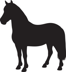 Finnish Horse in silhouette pure white background. 