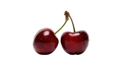 Two Dark Red Cherries with Stems. The image shows two ripe, dark red cherries side-by-side against a white background. The cherries are connected by their green stems