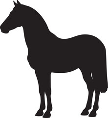 Foutanké or Fouta Horse in silhouette pure white background. in silhouette.