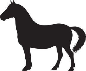  Frederiksborger Horse in silhouette pure white backgrpund.
