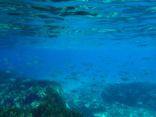 Ocean blue underwater with sunrays, Underwater Sea Deep Water Abstract Sunshine, sea wave , clean waters in summer time, Natural underwater seascape, sand on ocean floor and water surface with sunligh