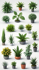 Various potted plants growing in colorful pots on white background.