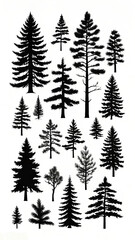 Fototapeta premium trees icons set isolated on a white background 