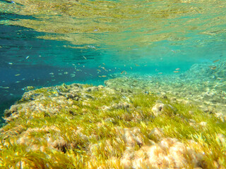 Ocean blue underwater with sunrays, Underwater Sea Deep Water Abstract Sunshine, sea wave , clean waters in summer time, Natural underwater seascape, sand on ocean floor and water surface with sunligh
