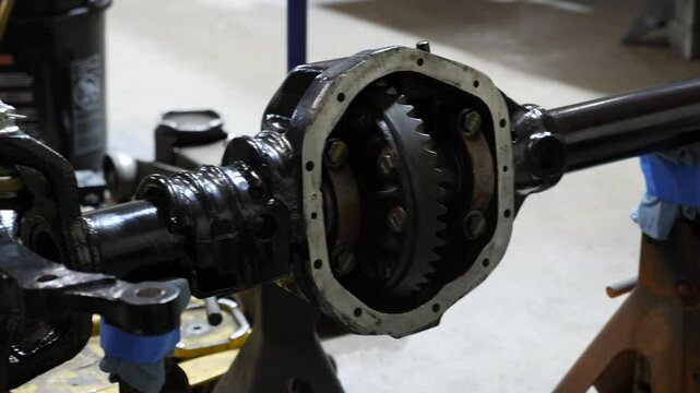 Examine vehicle differential assembly