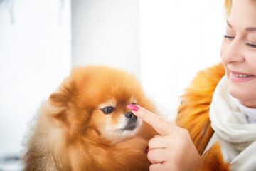 Pedigreed Pomeranian enjoys affectionate moment with middle-aged woman during winter day