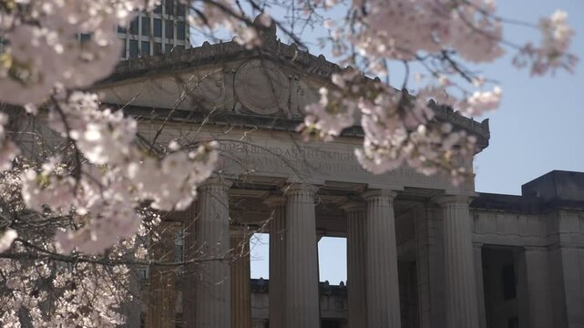 Cherry blossoms frame beautiful historic building