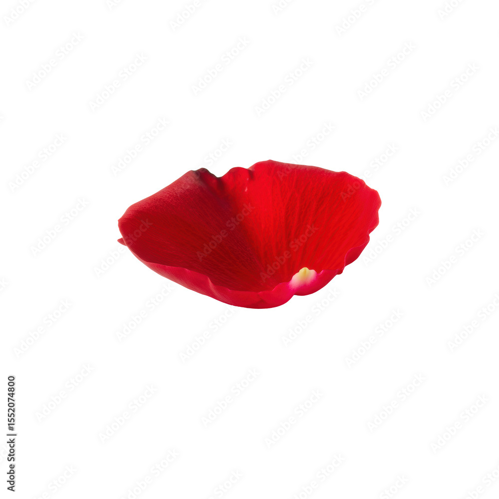 Poster a single, vibrant red rose petal with intricate textures and soft curves, casting a subtle shadow on