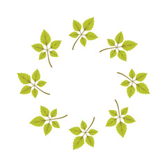 Circular Frame of Eight Green Leaves;  Nature, Botanical, Spring Theme;  Clean, Simple Design.