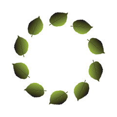 Green Leaves Circular Frame: Nature, Eco, Spring, Summer, Design Element,  Botanical Illustration,  White Background.