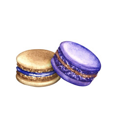 Macaron cookies. Hand-drawn watercolor illustration. Purple and bread color. Isolation. Almond confectionery. Element of your design. For banners, websites and packaging, menus, flyers and more.