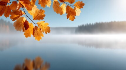 A leafy branch is reflected in the water of a lake. The water is calm and the sky is clear