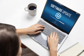 Software update on computer for brisk version of device software upgrade