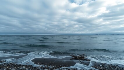 Cold Seashore with Driftwood Under Cloudy Sky
