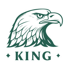 American eagle head vector illustration with wild bird feathers and beak symbol