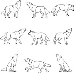 Nine Wolf Line Art Illustrations: Pack Dynamics & Poses